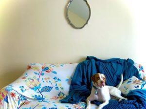 Mebora Premium Sofa Covers photo review