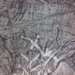 Premium Dining Chair Cover photo review